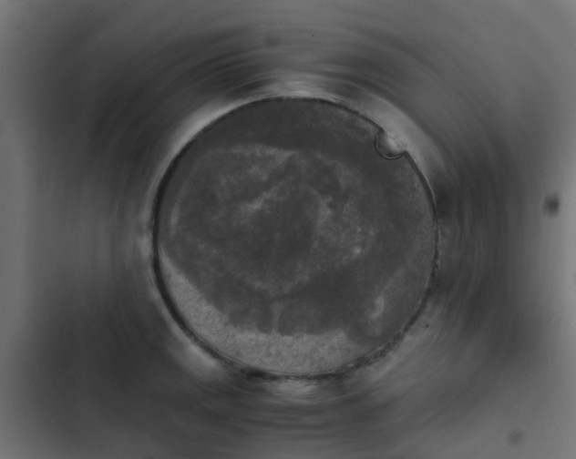 X0000103961141200809261805