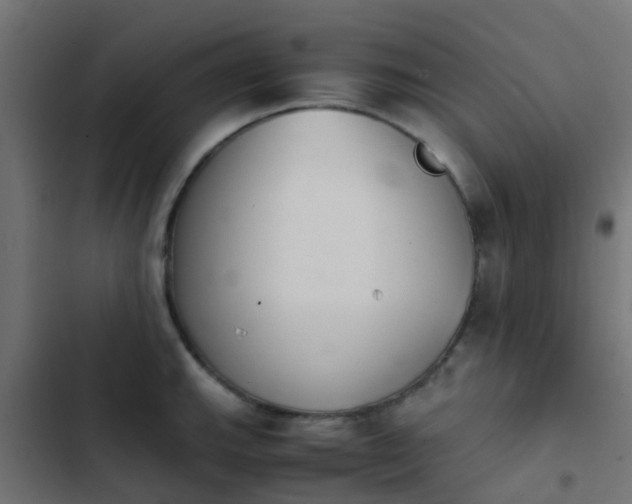 X0000103961143200809261805