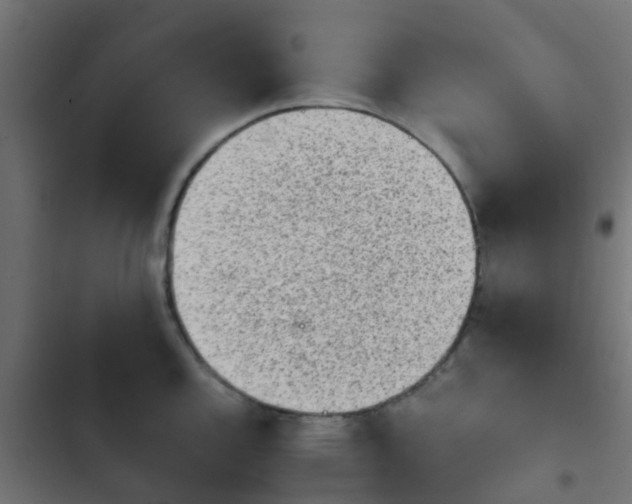 X0000103961144200809261805