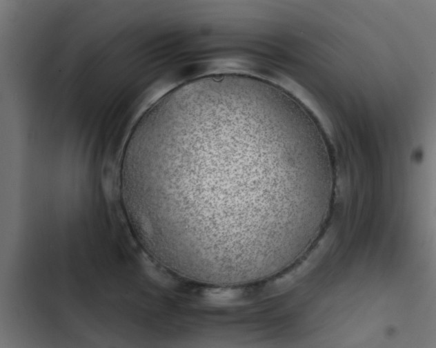 X0000103961145200809261805