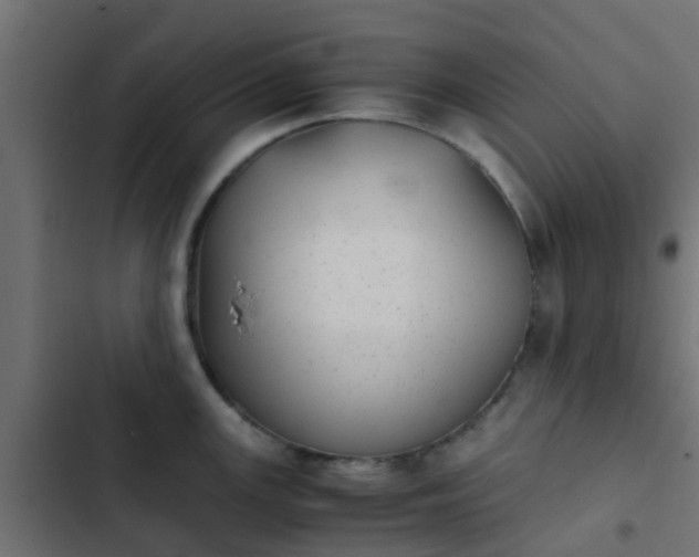 X0000103961147200809261805