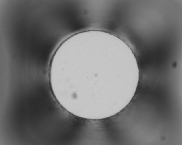 X0000103961148200809261805