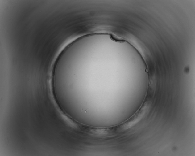 X0000103961149200809261805