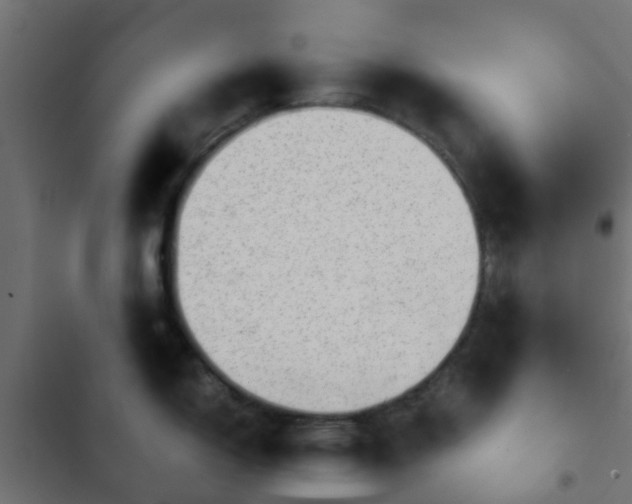 X0000103961150200809261805