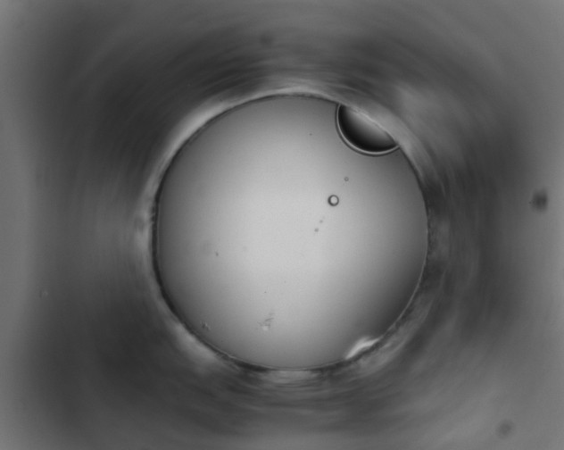 X0000103961151200809261805