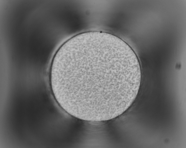 X0000103961152200809261805