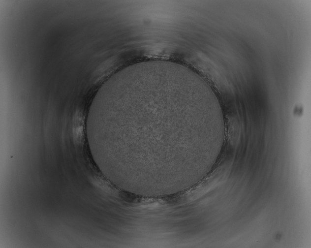 X0000103961154200809261804