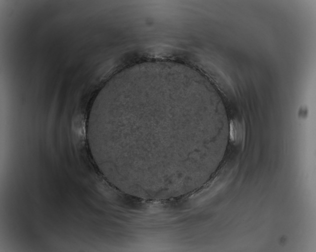X0000103961155200809261804