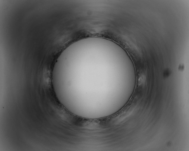 X0000103961156200809261804