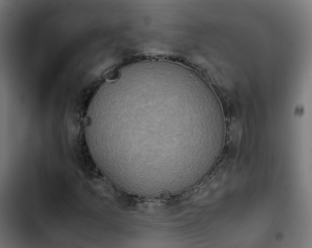 X0000103961157200809261804
