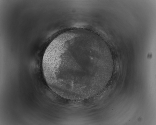 X0000103961158200809261804