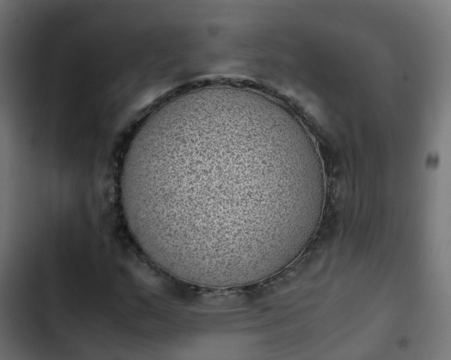 X0000103961159200809261804
