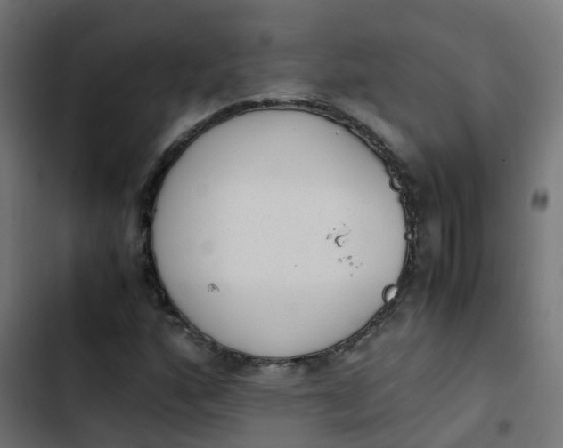 X0000103961160200809261804