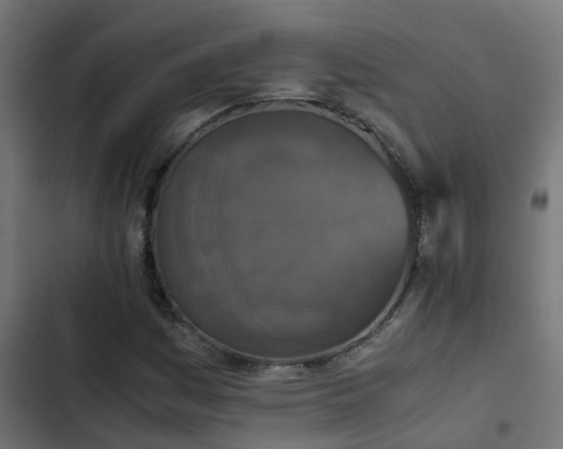 X0000103961161200809261804