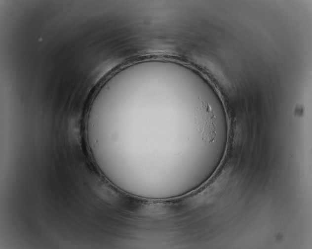 X0000103961162200809261804