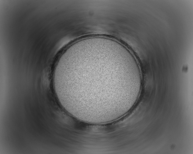 X0000103961163200809261804