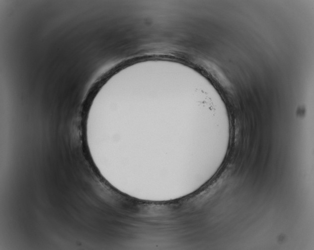 X0000103961164200809261804