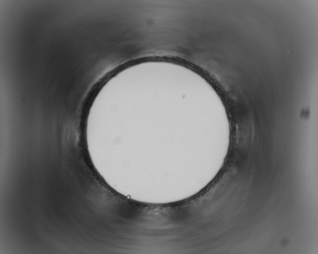 X0000103961165200809261804