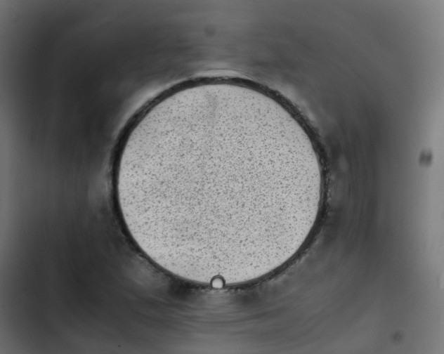 X0000103961167200809261804