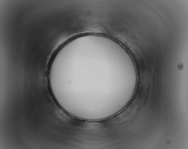 X0000103961168200809261804