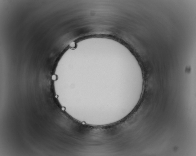 X0000103961169200809261804