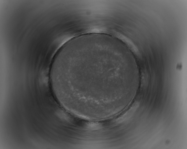 X0000103961170200809261804