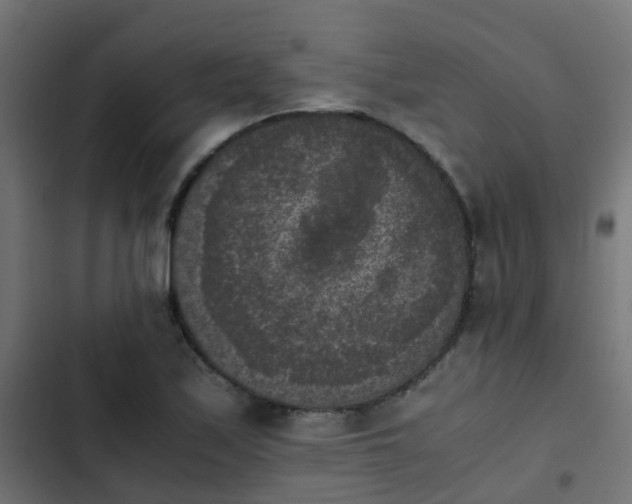 X0000103961171200809261804