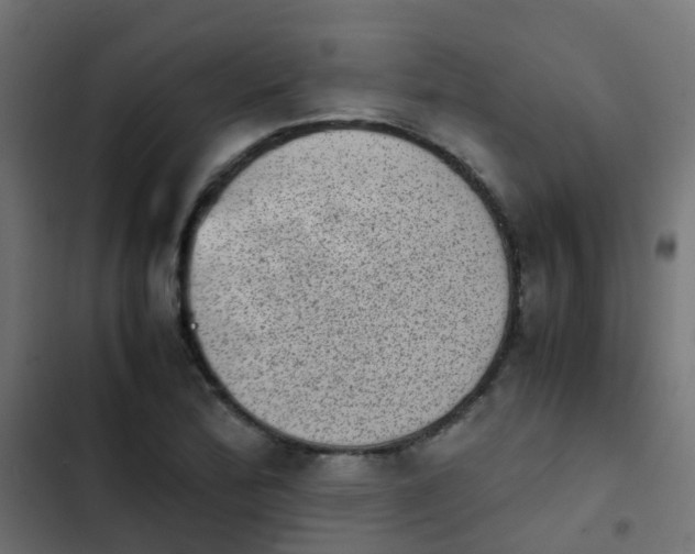 X0000103961172200809261804