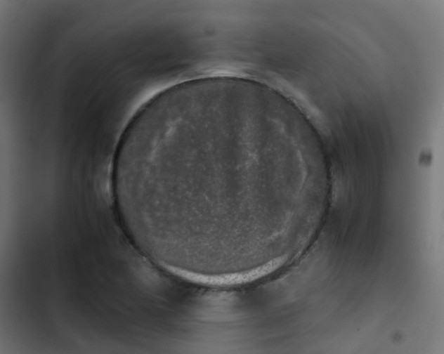 X0000103961174200809261804