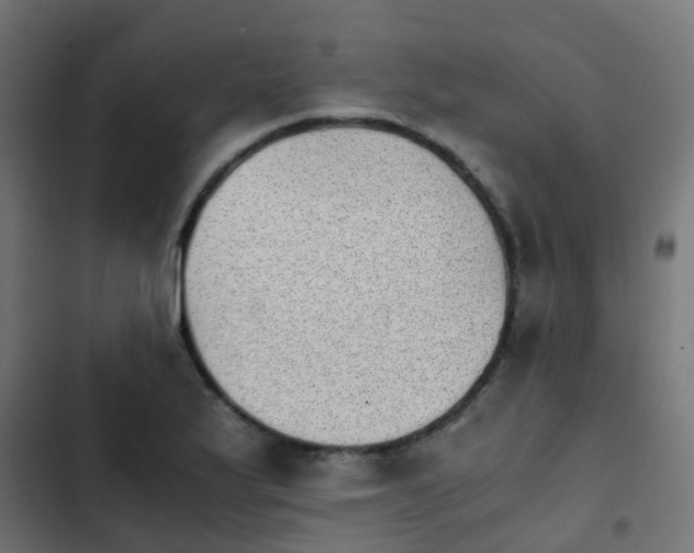 X0000103961175200809261804