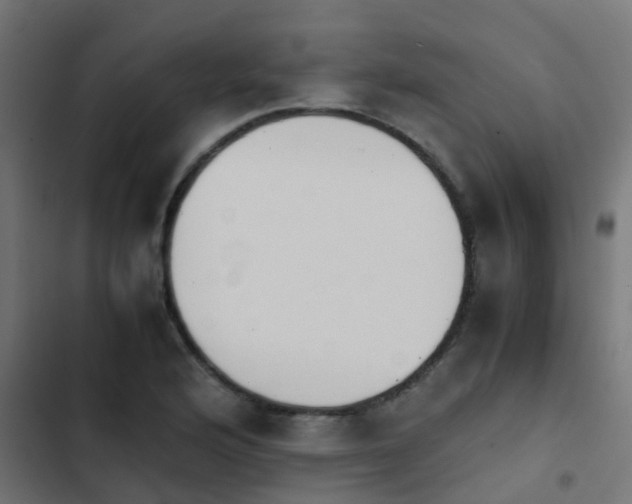 X0000103961176200809261804