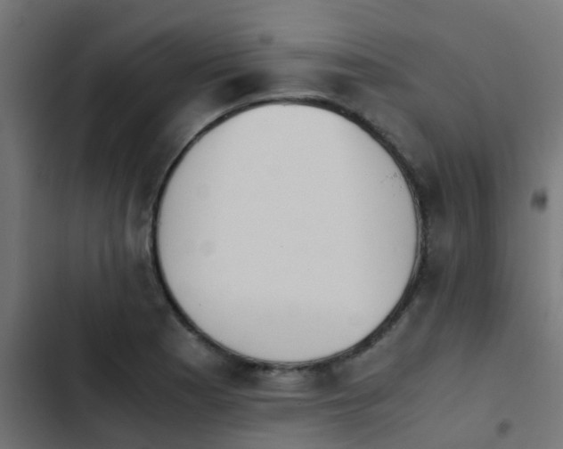 X0000103961177200809261804