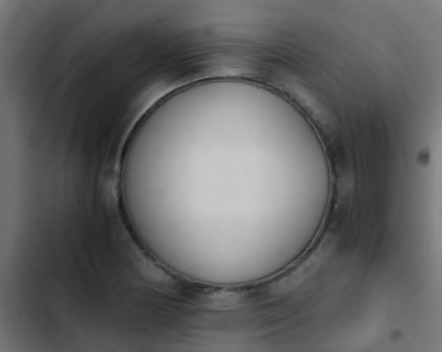 X0000103961178200809261804