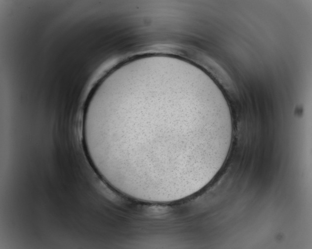 X0000103961180200809261804