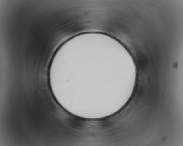 X0000103961181200809261804