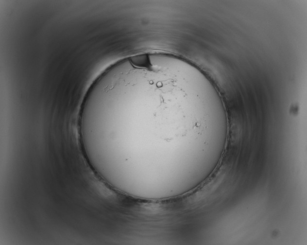 X0000103961182200809261804