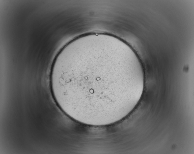 X0000103961183200809261804
