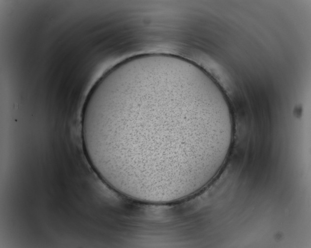 X0000103961184200809261804