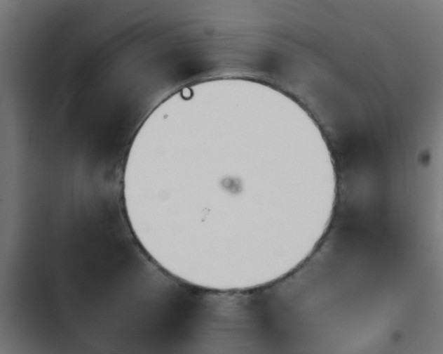 X0000103961185200809261804