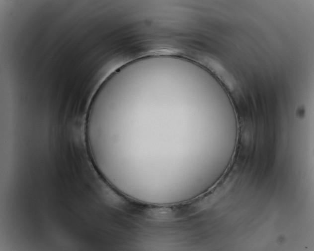 X0000103961186200809261804