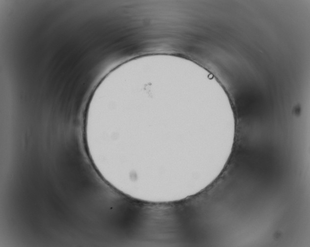 X0000103961187200809261804