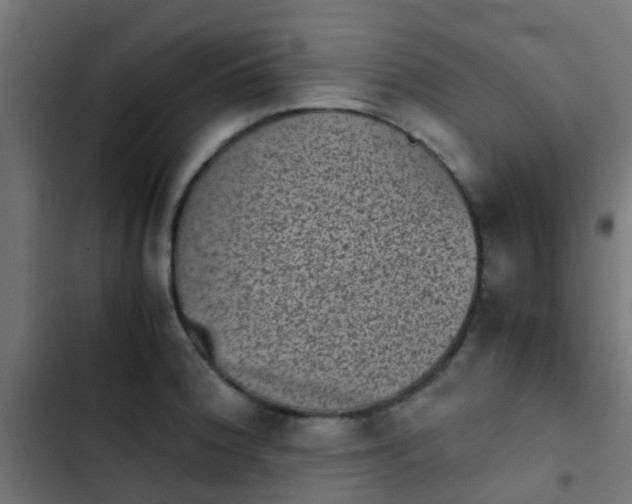 X0000103961188200809261804