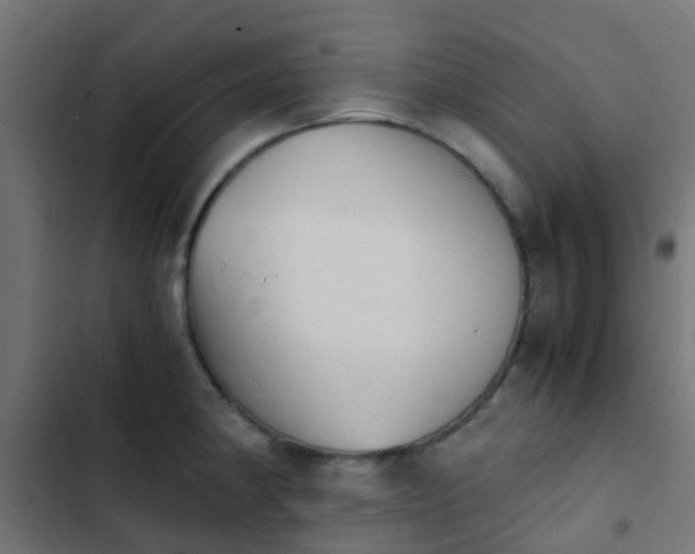 X0000103961190200809261804