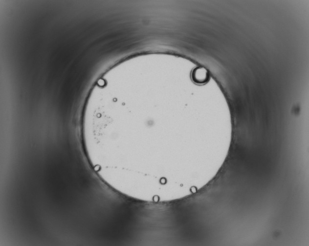 X0000103961191200809261804
