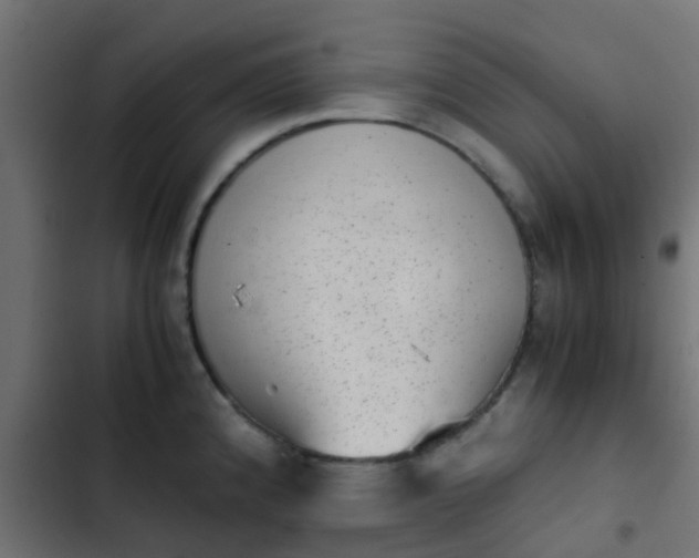 X0000103961192200809261804