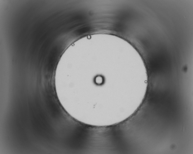 X0000103961193200809261804