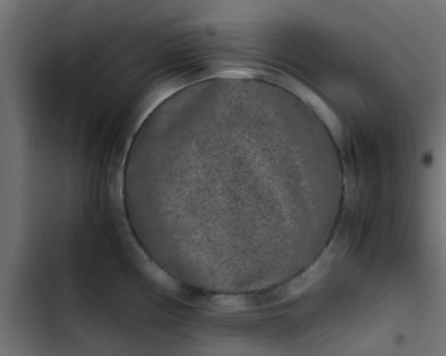 X0000103961194200809261804