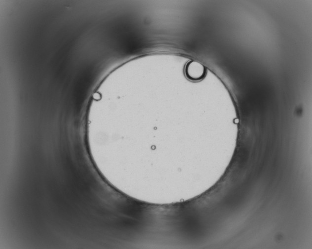 X0000103961195200809261804