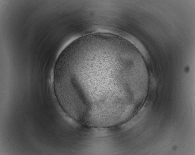 X0000103961198200809261804