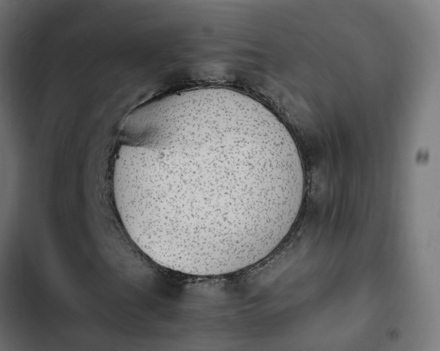 X0000103961201200809261803